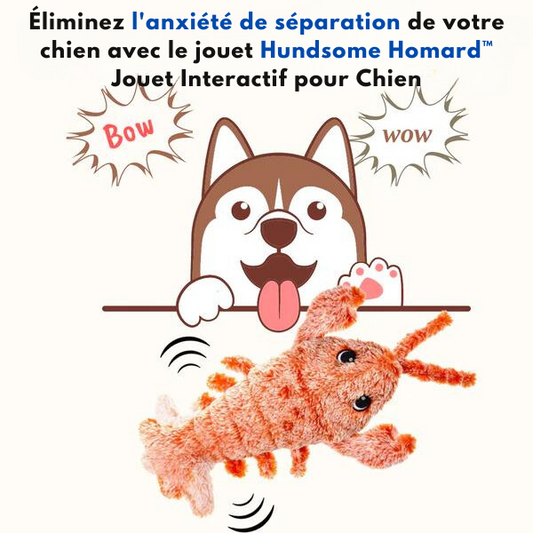 FRAGO Homard™ Jouet Interactif pour Chien