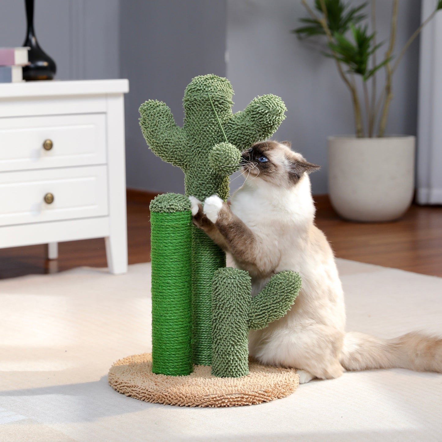 CACTUS - Le Griffoir Primé pour Chats en 2023🏆