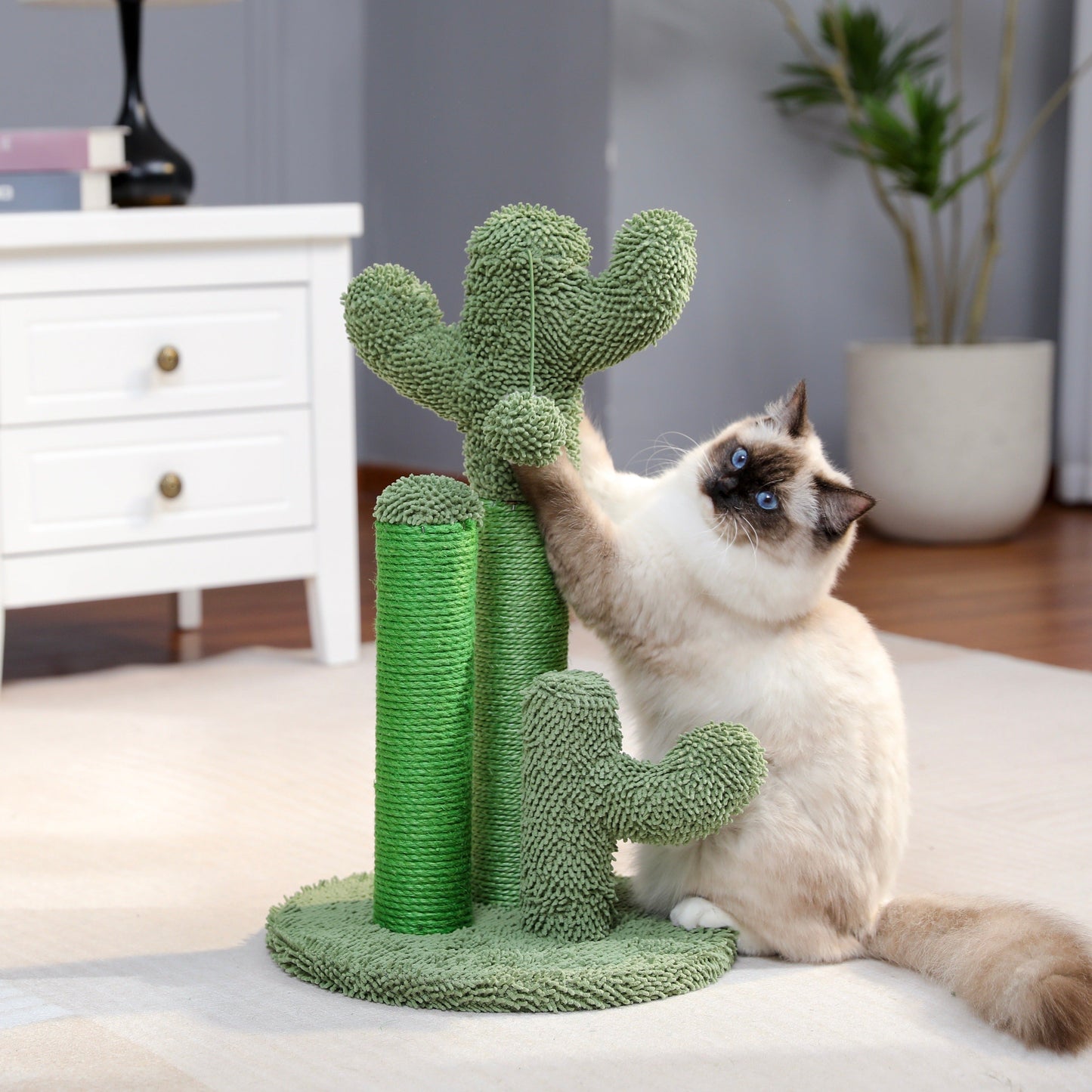 CACTUS - Le Griffoir Primé pour Chats en 2023🏆